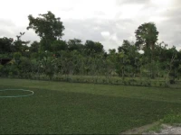 Green Venus Home Stay 