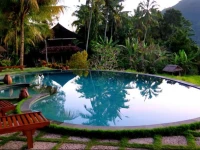 Villa Lihat Sawah 