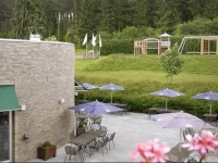 Dennenheuvel - Mont-Des-Pins 
