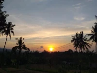 Lafyu Bali 