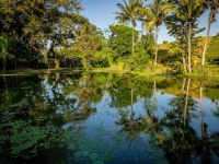 Alam Taman Villa 
