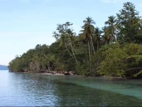 Wicked Diving Raja Ampat Dive Resort 