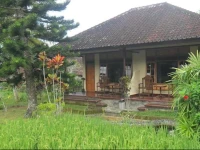 Good Karma Homestay and Restaurant 