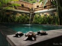 Natha Ubud Villa 