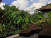 Tavisha House 