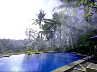Villa Capung Mas Ubud 