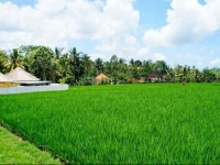 Villa Vinayaga Ubud 