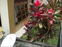 Anugerah Homestay 