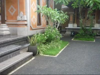 Pratama house 