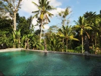 The Ark Holistic Boutique Hotel Ubud 