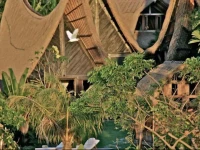 Own VIlla Bali 