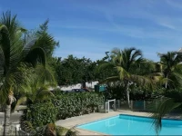 Caribbean Rivera #3 