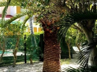 Villa Fred 