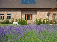B&B Hildegarden 