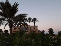 Bella Djerba 