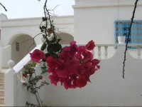 Villa Aicha / Villa Aïcha 