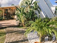 Tahiti Surf Beach Paradise 