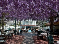 Azak Hotel 3*