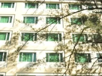 Tang Dynasty Park Hotel 3*