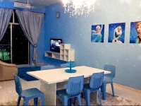 Frozen Home Stay 