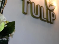Tulip Hotel 