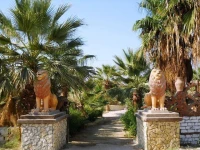 The Two Lions Ecolodge 