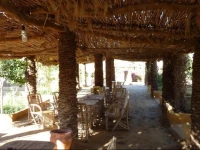 Badry Sahara Camp 