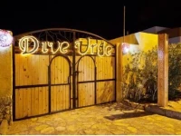 Dive Urge 3*