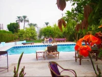 Nile Compound 