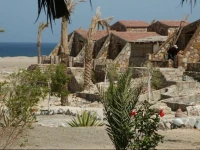Ecolodge Bedouin Valley 3*