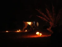 Ayla Camp 