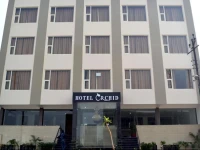Orchid, Agra 