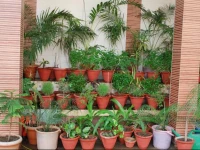 Hotel Rashmi Agra 