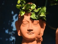 The Coral Tree Homestay 