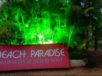 Alleppey Beach Paradise 