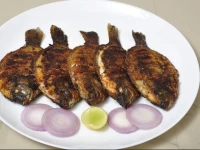 Alleppey Houseboat 