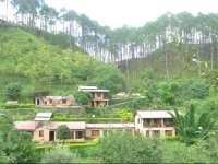 Woods Resort 