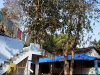 Hostel DREAMS 