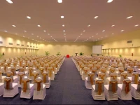 The Golden Palms Hotel & Spa- Bangalore 