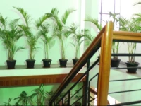The Koramangala Residency 
