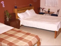 Minerva Residency 