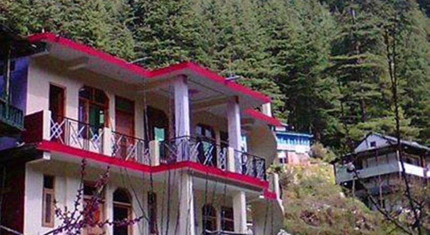 Dev Conifers Green 