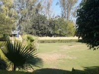Hotel Surya Vilas Palace 