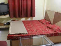 Hotel Arya Palace 