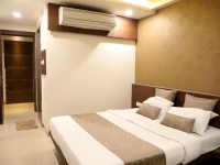 Hotel Adarsh Palace 1*