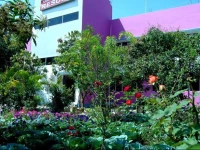 Rangamati Garden Resort 