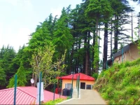 Camp Wildex, Kanatal 