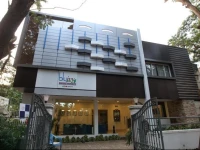 Bluivy 