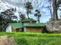 Neelakurunji Plantation Munnar 