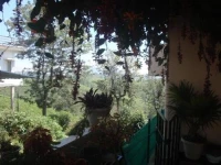 Green View Rest House 